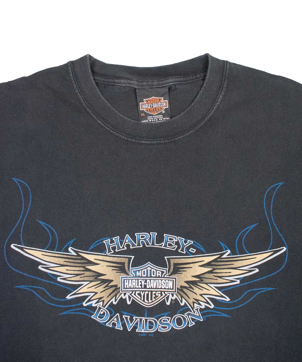 Camiseta HARLEY DAVIDSON 2000 (XL)