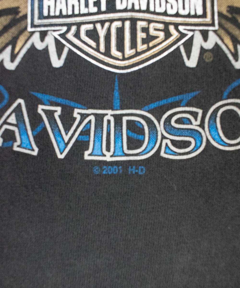 Camiseta HARLEY DAVIDSON 2000 (XL)