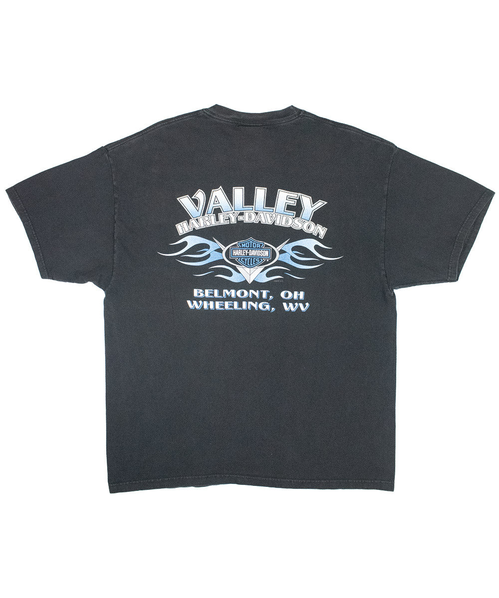 Camiseta HARLEY DAVIDSON 2000 (XL)