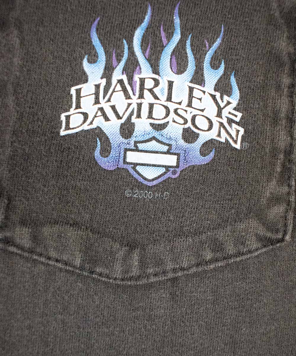 Camiseta HARLEY DAVIDSON 1999 (XL)