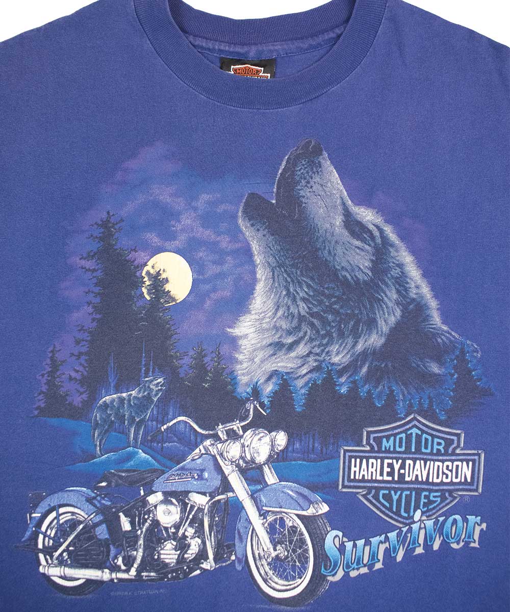 Camiseta HARLEY DAVIDSON 1993 (L)