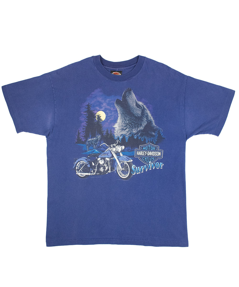 Camiseta HARLEY DAVIDSON 1993 (L)