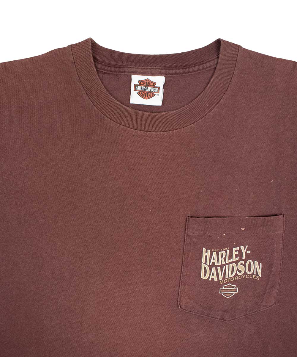 Camiseta HARLEY DAVIDSON 1990 (L)