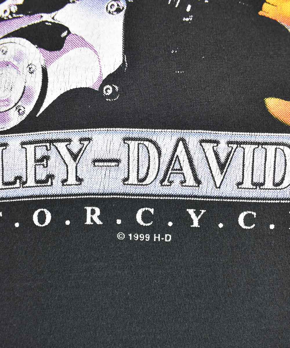 Camiseta HARLEY DAVIDSON 1999 (L)