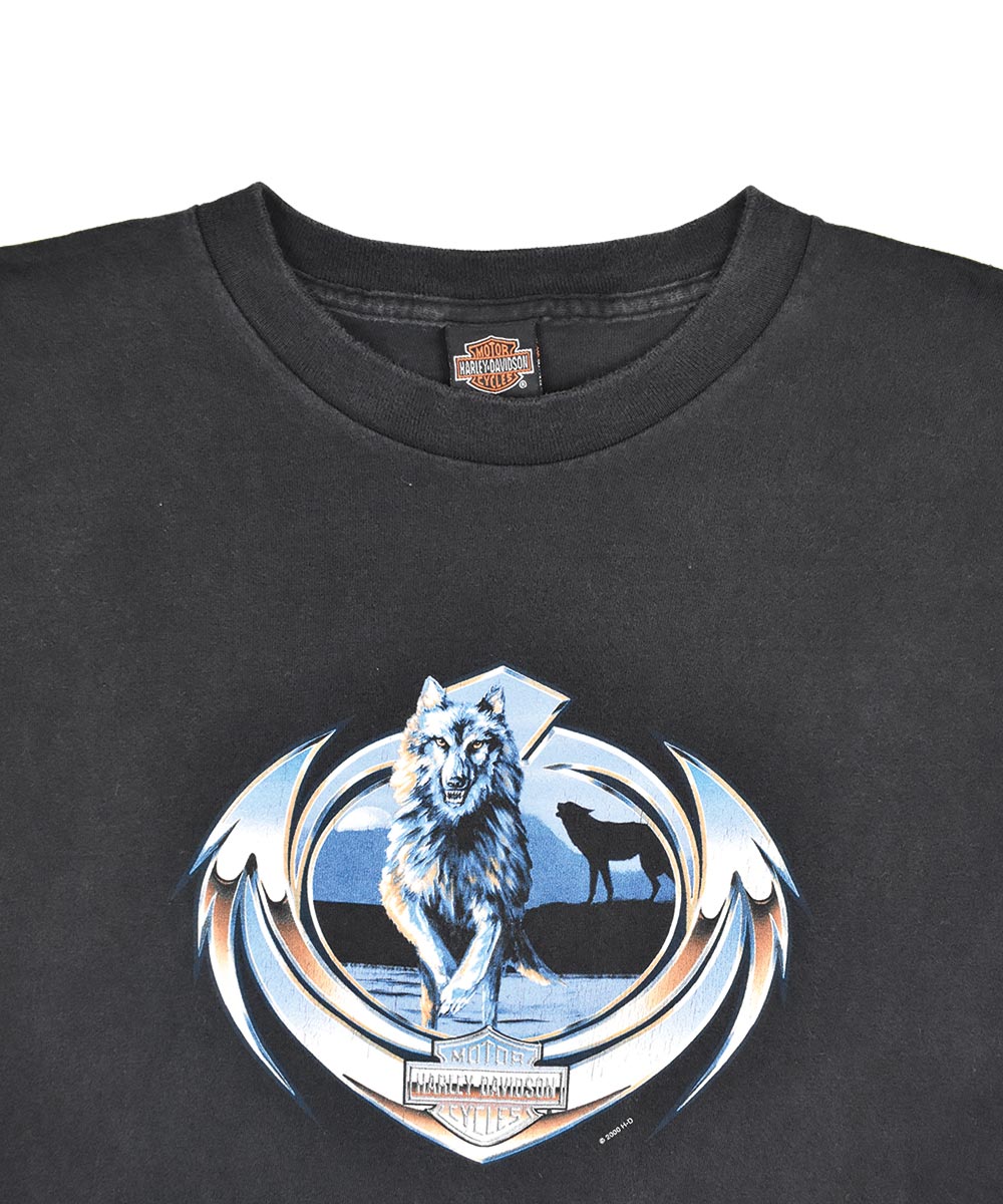 Camiseta HARLEY DAVIDSON 2000 (L)