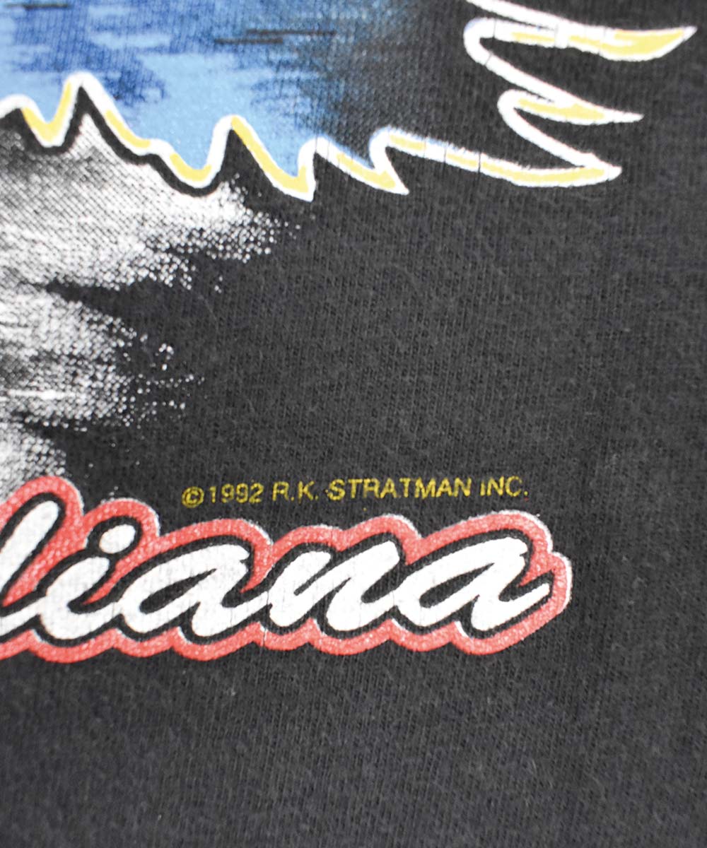 Camiseta HARLEY DAVIDSON 1993 (XL)