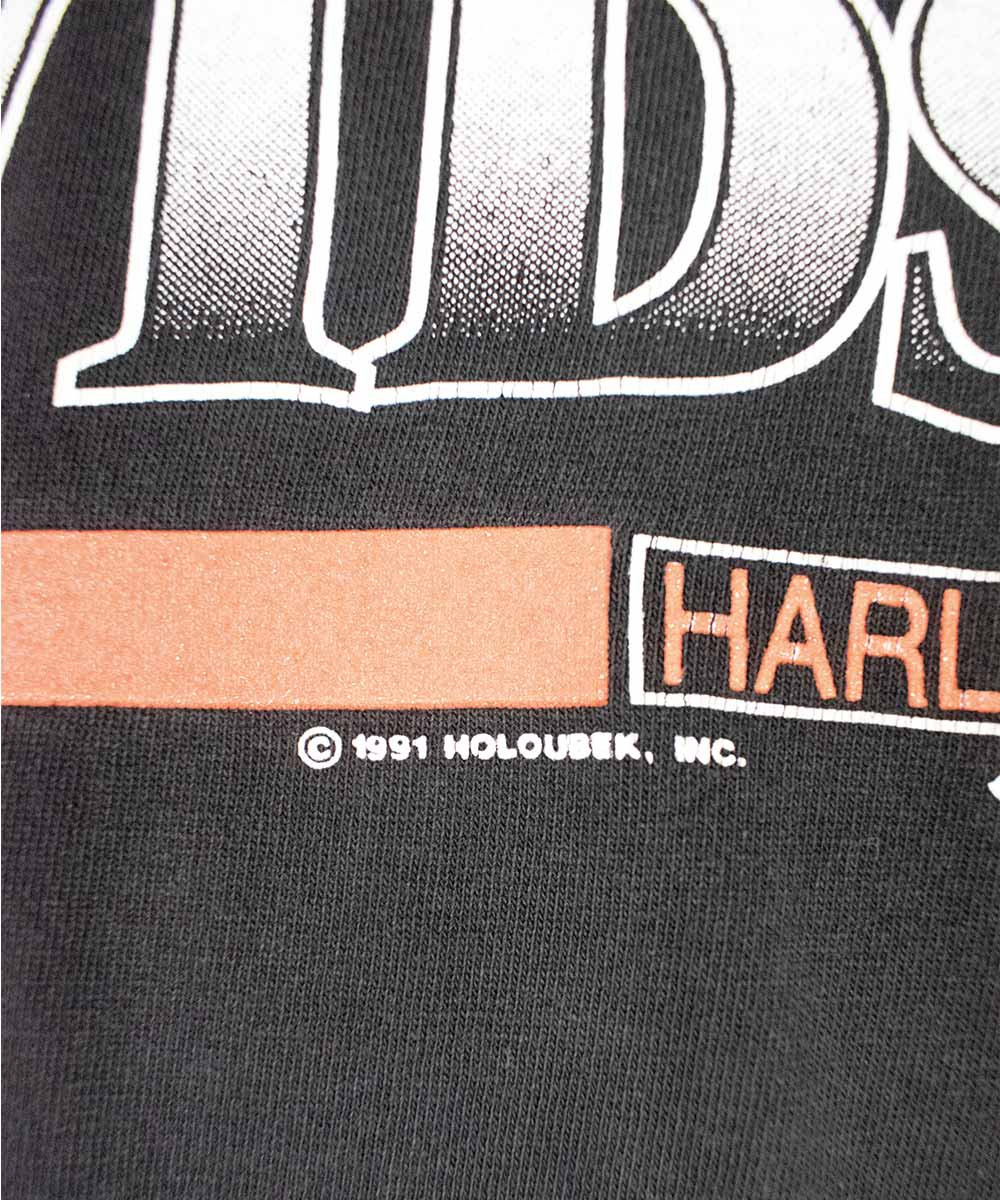 Camiseta HARLEY DAVIDSON 1991 (XL)