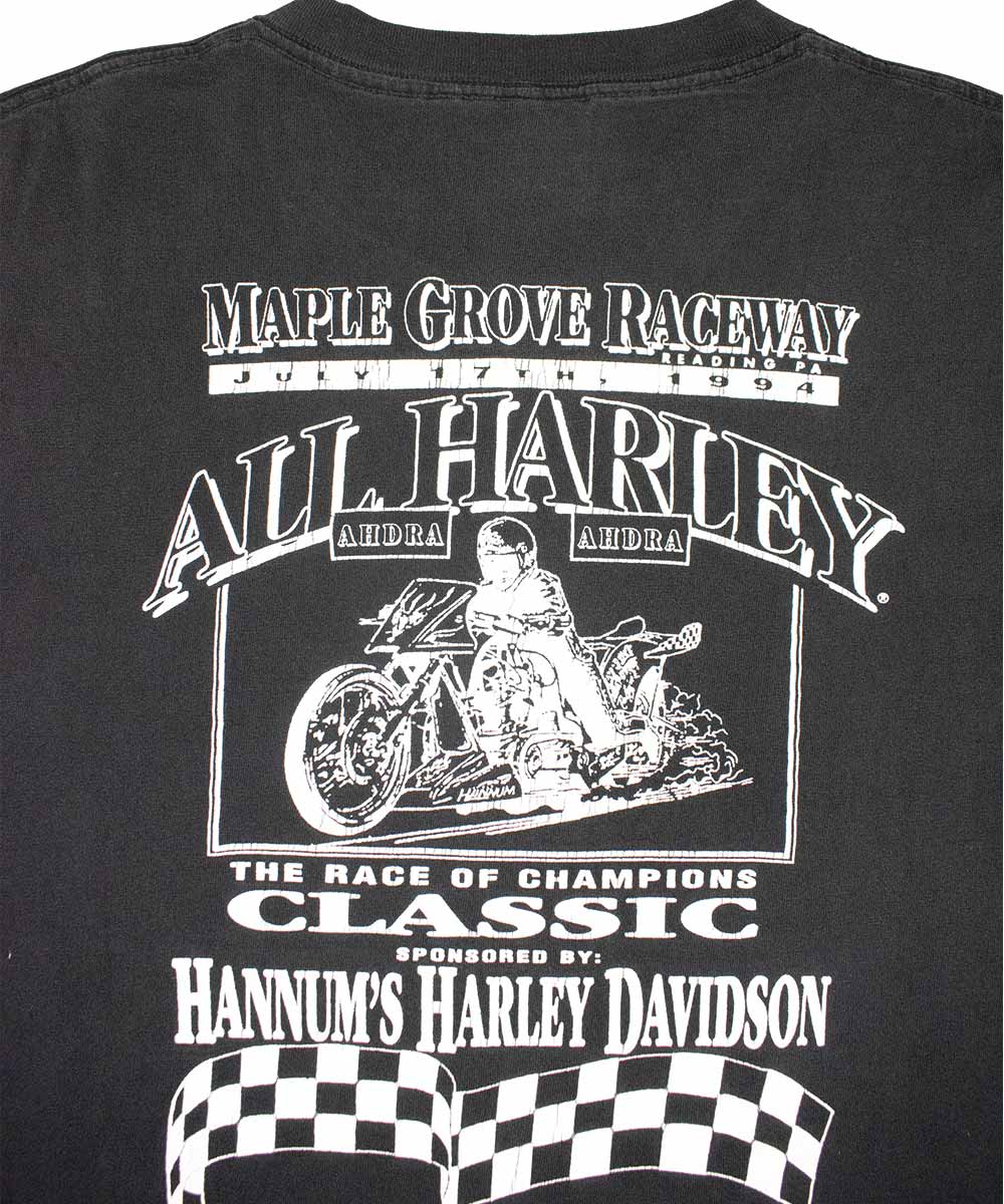 Camiseta HARLEY DAVIDSON 1991 (XL)