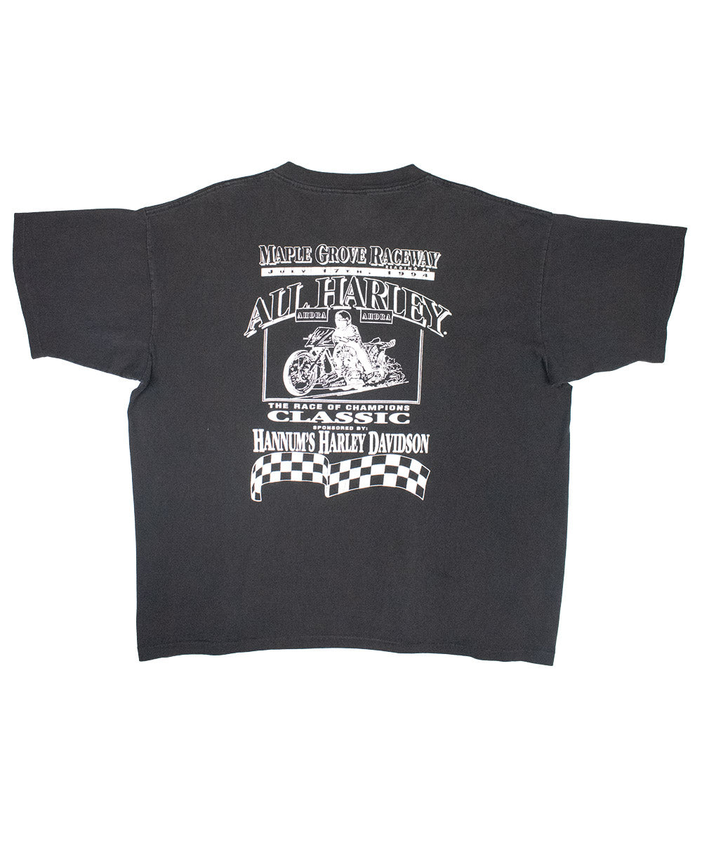 Camiseta HARLEY DAVIDSON 1991 (XL)