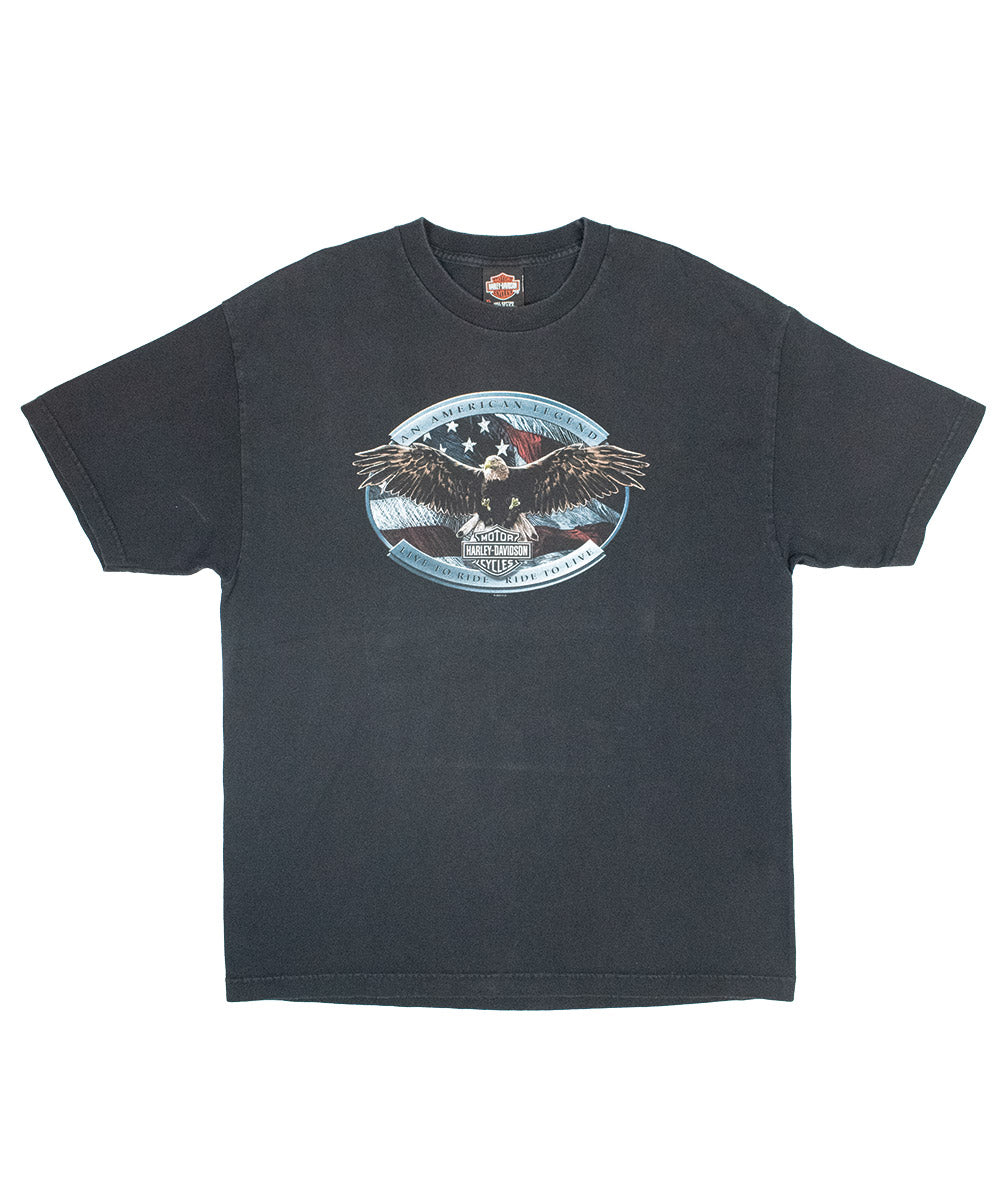 Camiseta HARLEY DAVIDSON 2007 (XL)