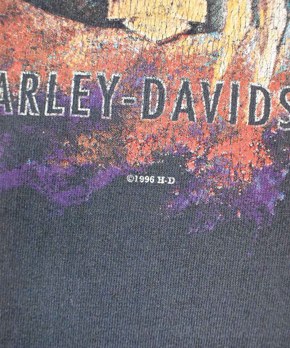 Camiseta HARLEY DAVIDSON 1996 (2XL)
