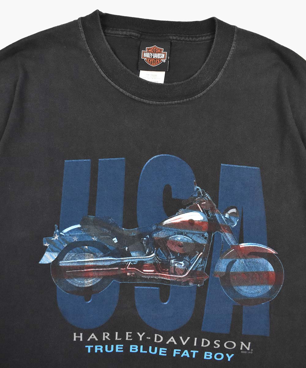 Camiseta HARLEY DAVIDSON 2001 (XL)
