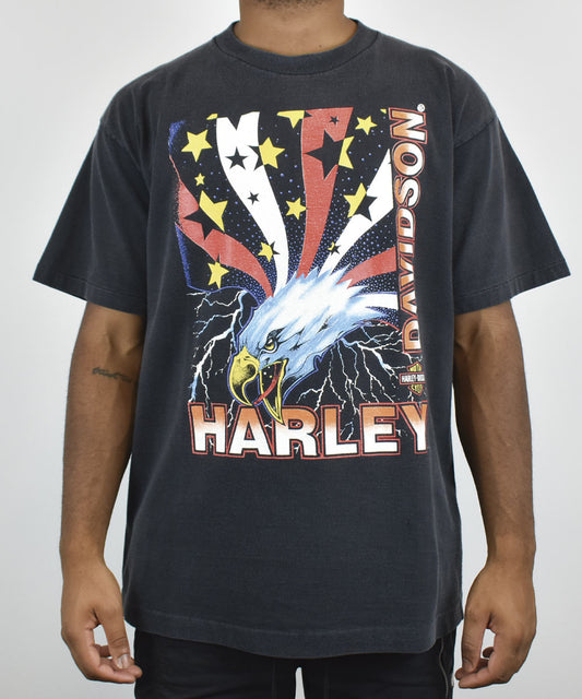 HARLEY DAVIDSON Fun-Wear Vintage T-Shirt (XL)