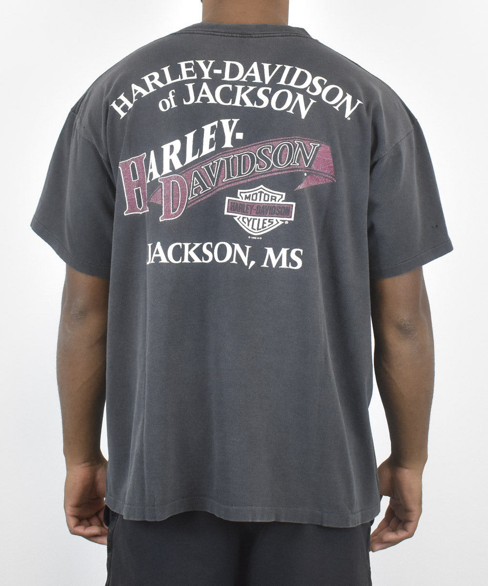 Camiseta HARLEY DAVIDSON 1995 (XL)
