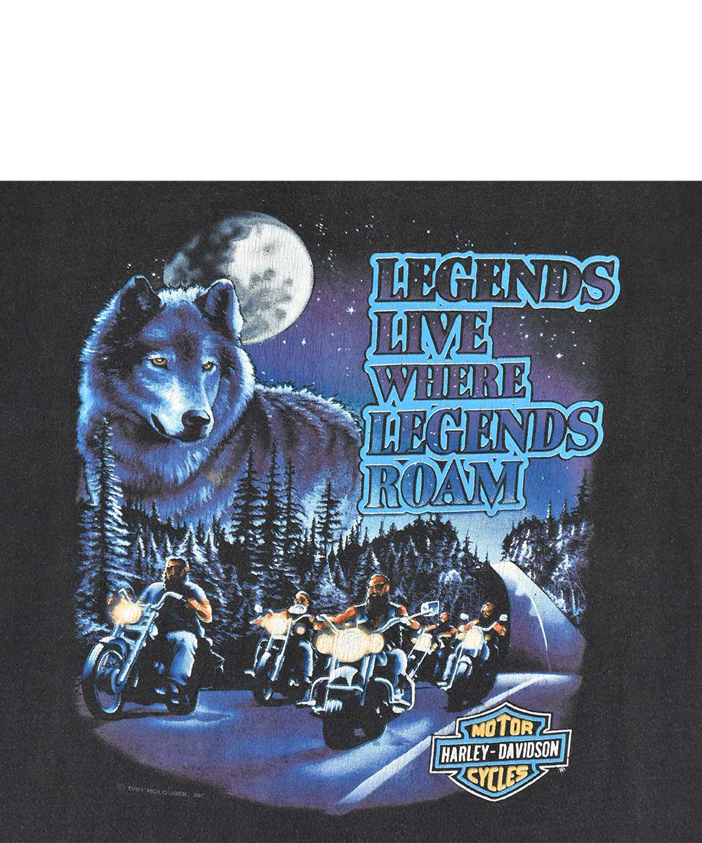 Camiseta HARLEY DAVIDSON 1991 (2XL)