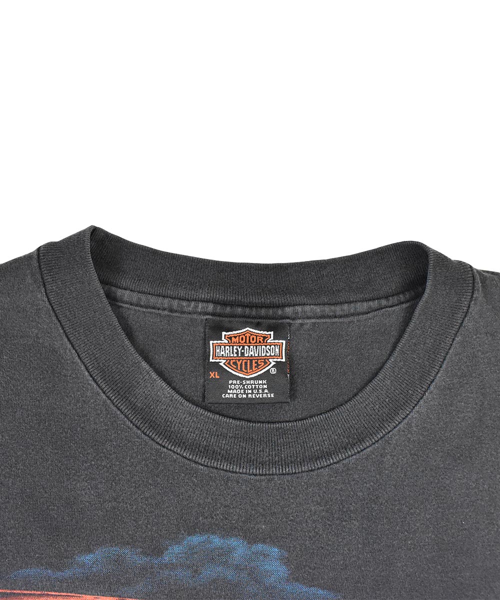 Camiseta vintage HARLEY DAVIDSON 1996 (XL)
