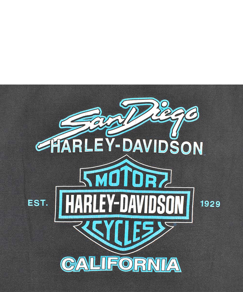 Camiseta vintage HARLEY DAVIDSON 1996 (XL)