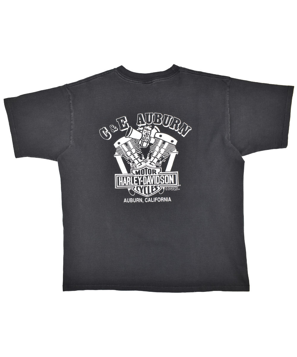Camiseta HARLEY DAVIDSON 1993 (L)