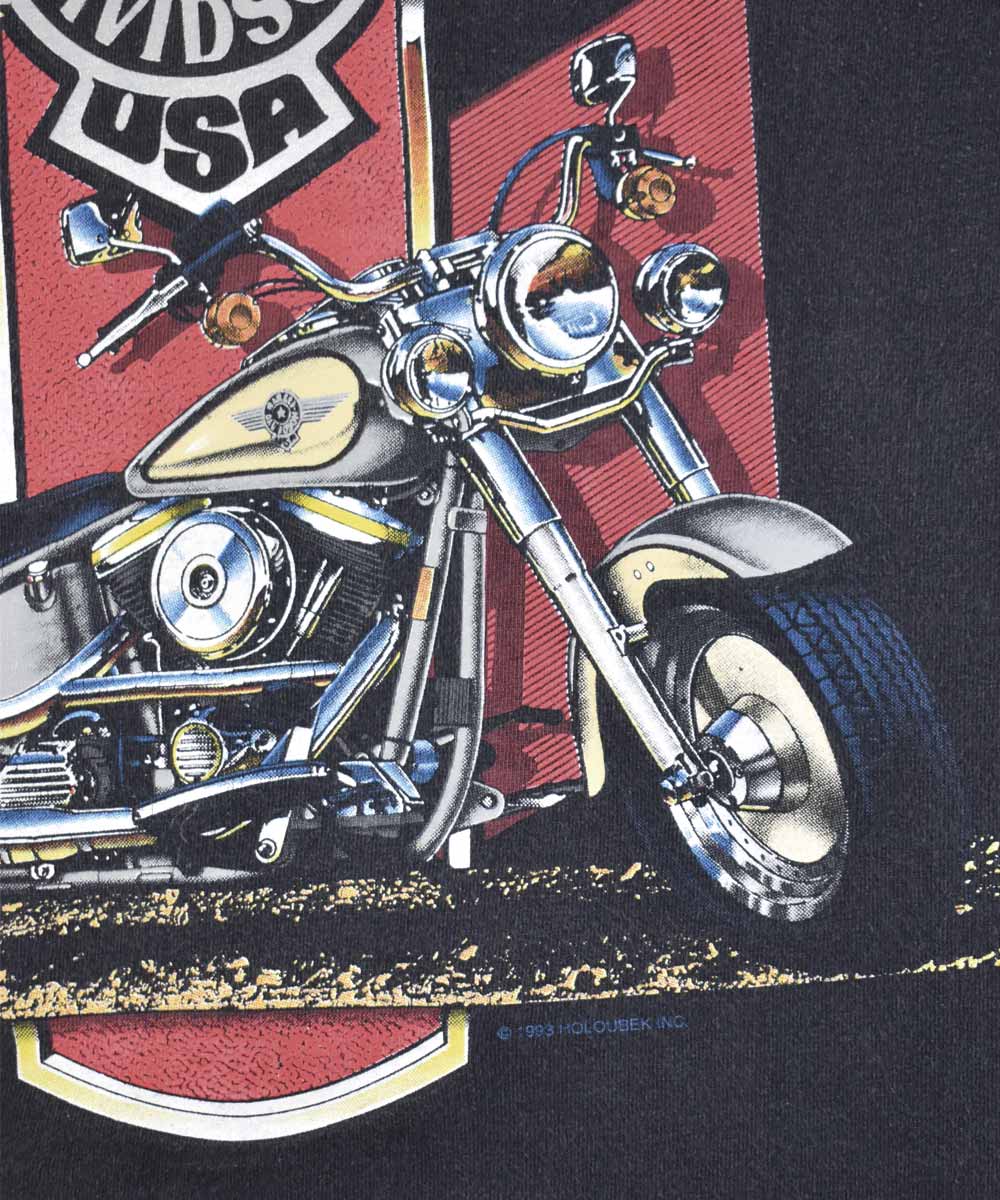 Camiseta HARLEY DAVIDSON 1993 (L)