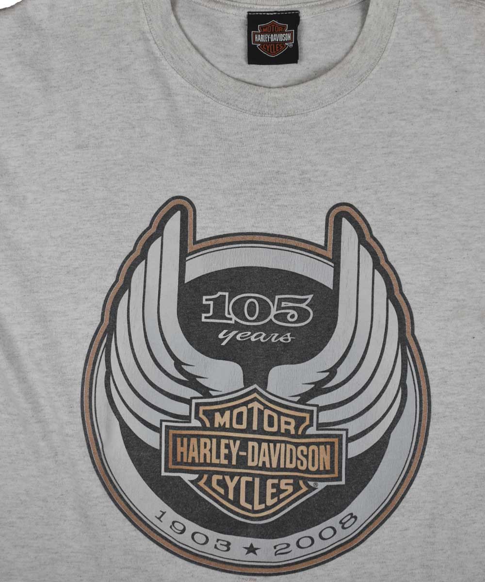 Camiseta HARLEY DAVIDSON 2008 (L)