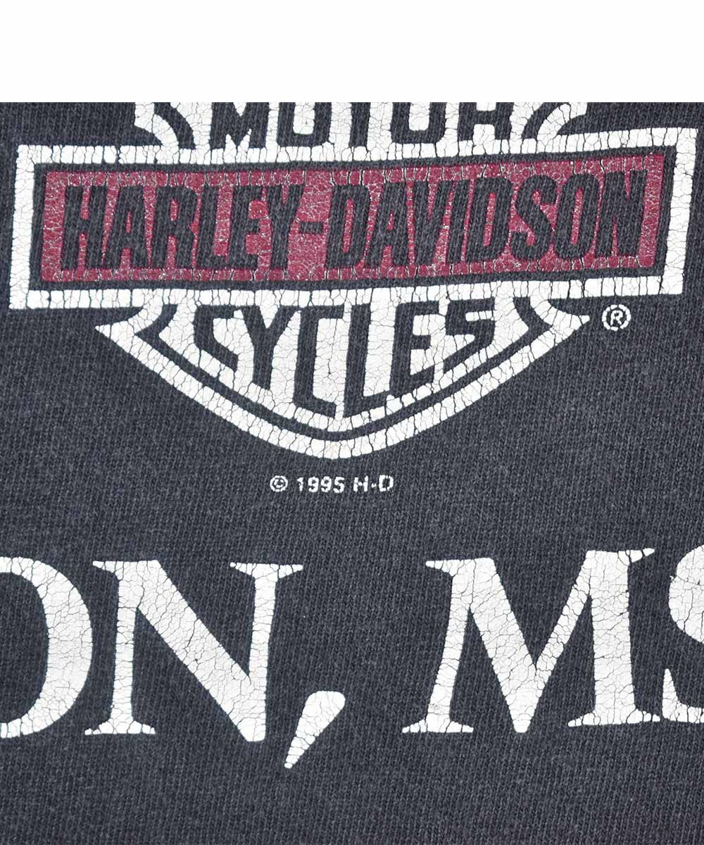 Camiseta HARLEY DAVIDSON 1995 (XL)