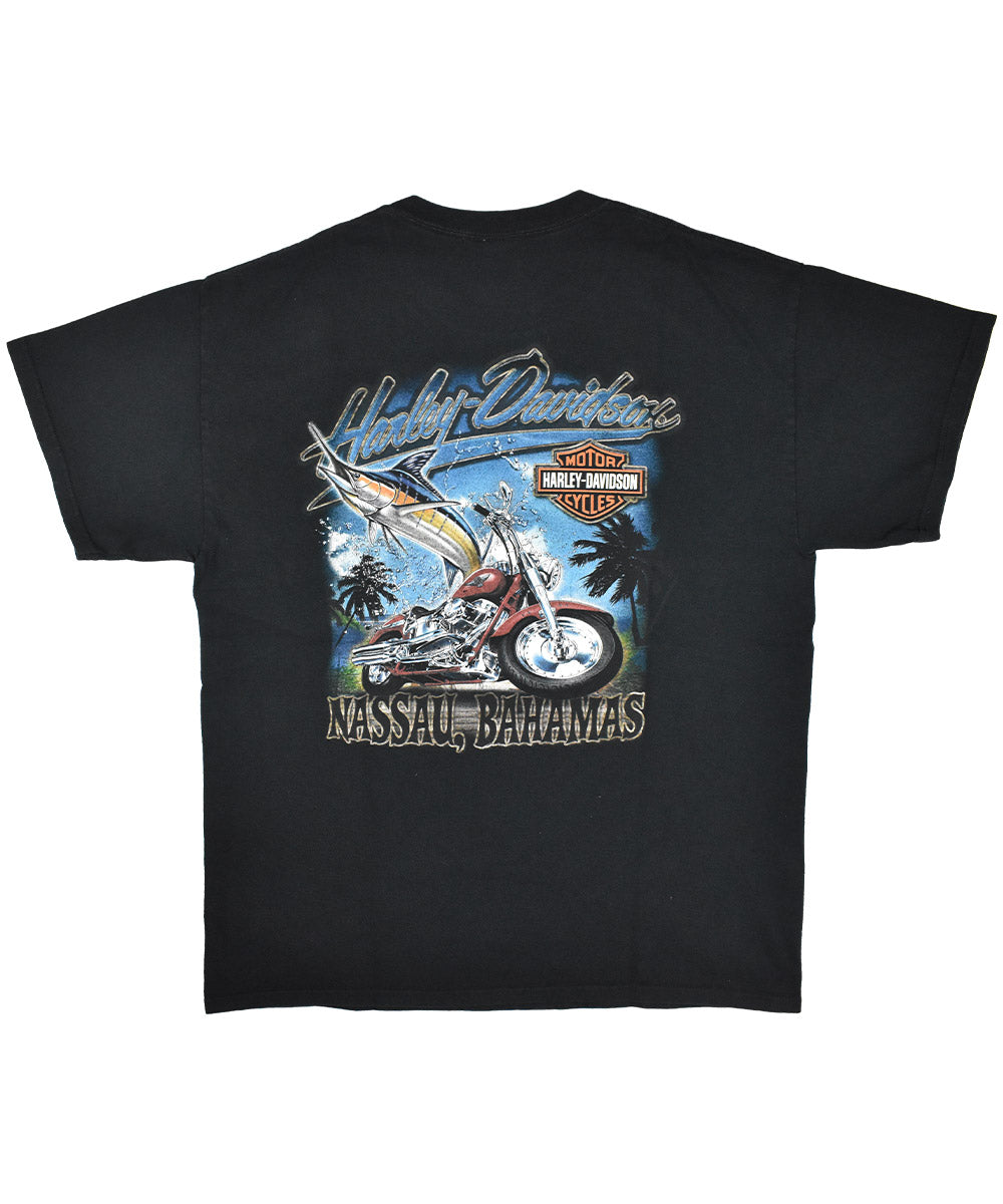 Camiseta HARLEY DAVIDSON 2000 (L)