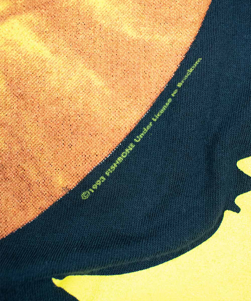 1993 FISHBONE T-Shirt (XL)