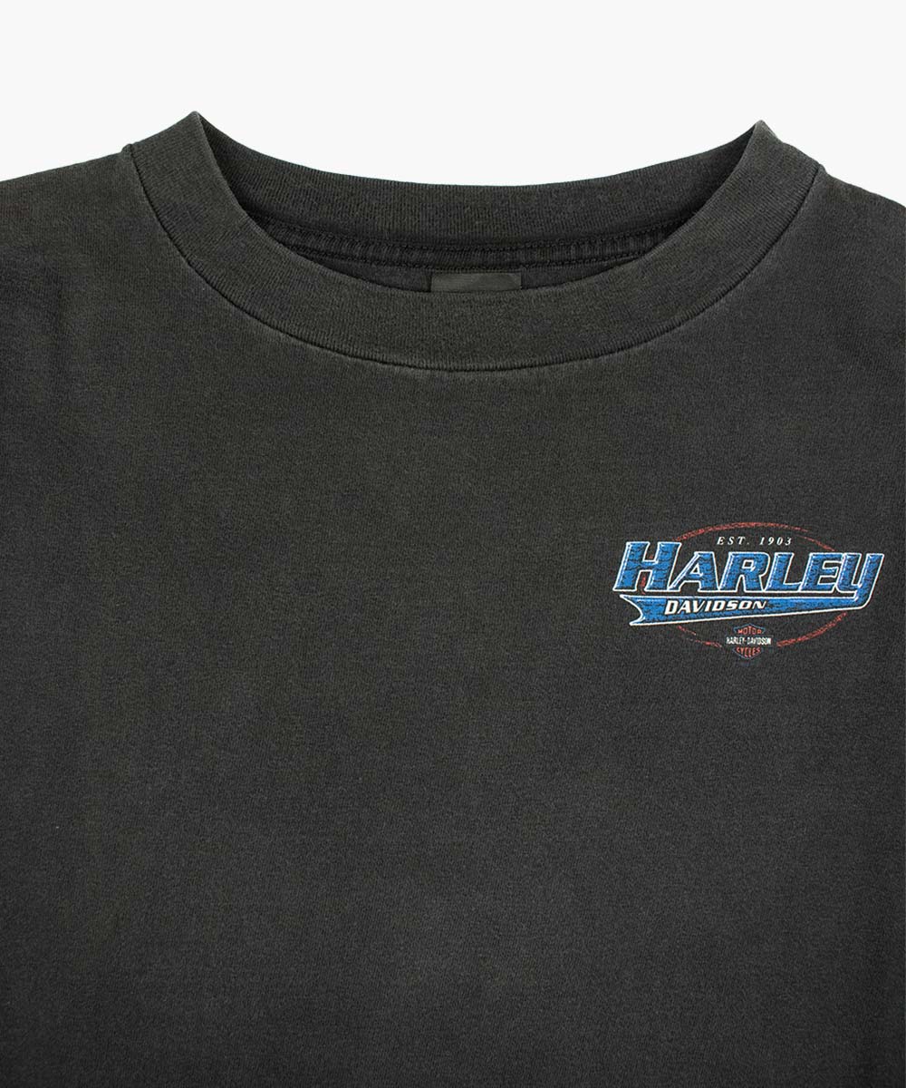 Camiseta HARLEY DAVIDSON 1990 (XL)