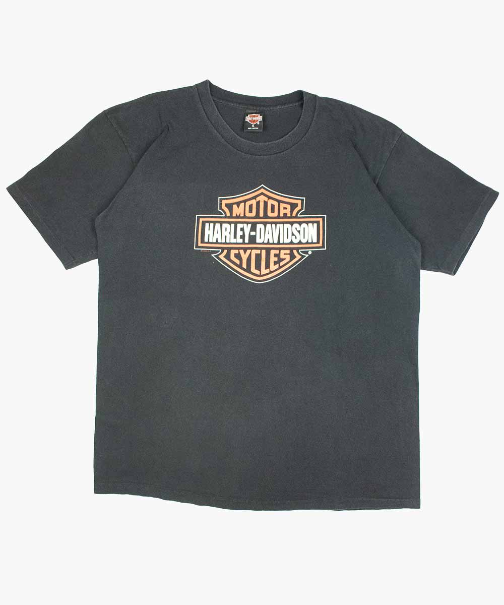 Camiseta HARLEY DAVIDSON 1995 (XL)
