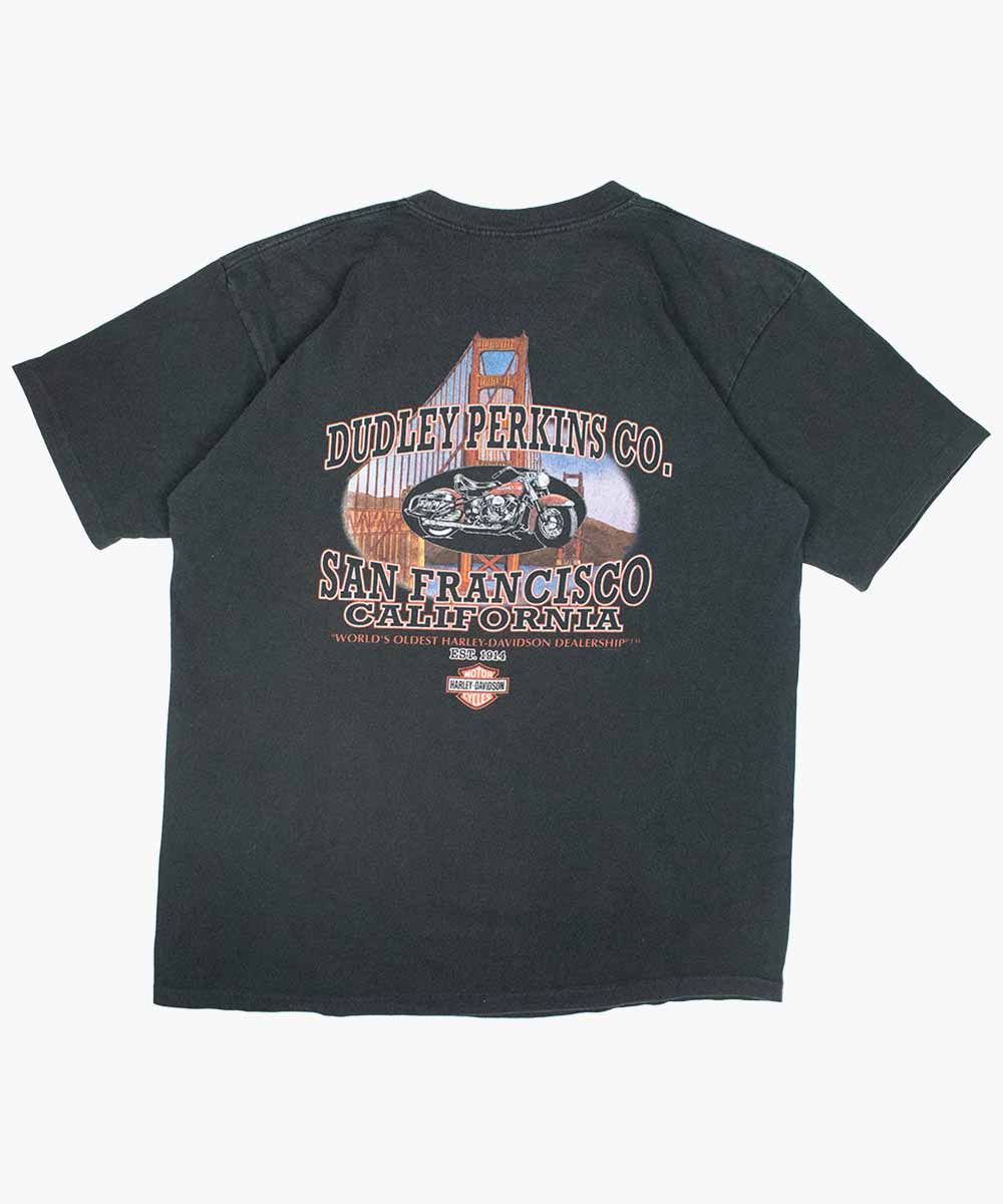 Camiseta HARLEY DAVIDSON 1995 (XL)