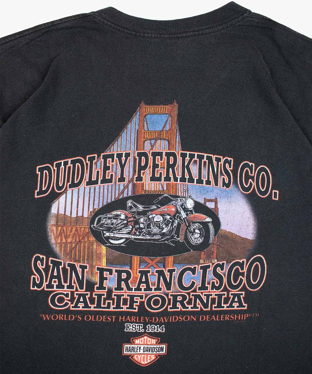 Camiseta HARLEY DAVIDSON 1995 (XL)