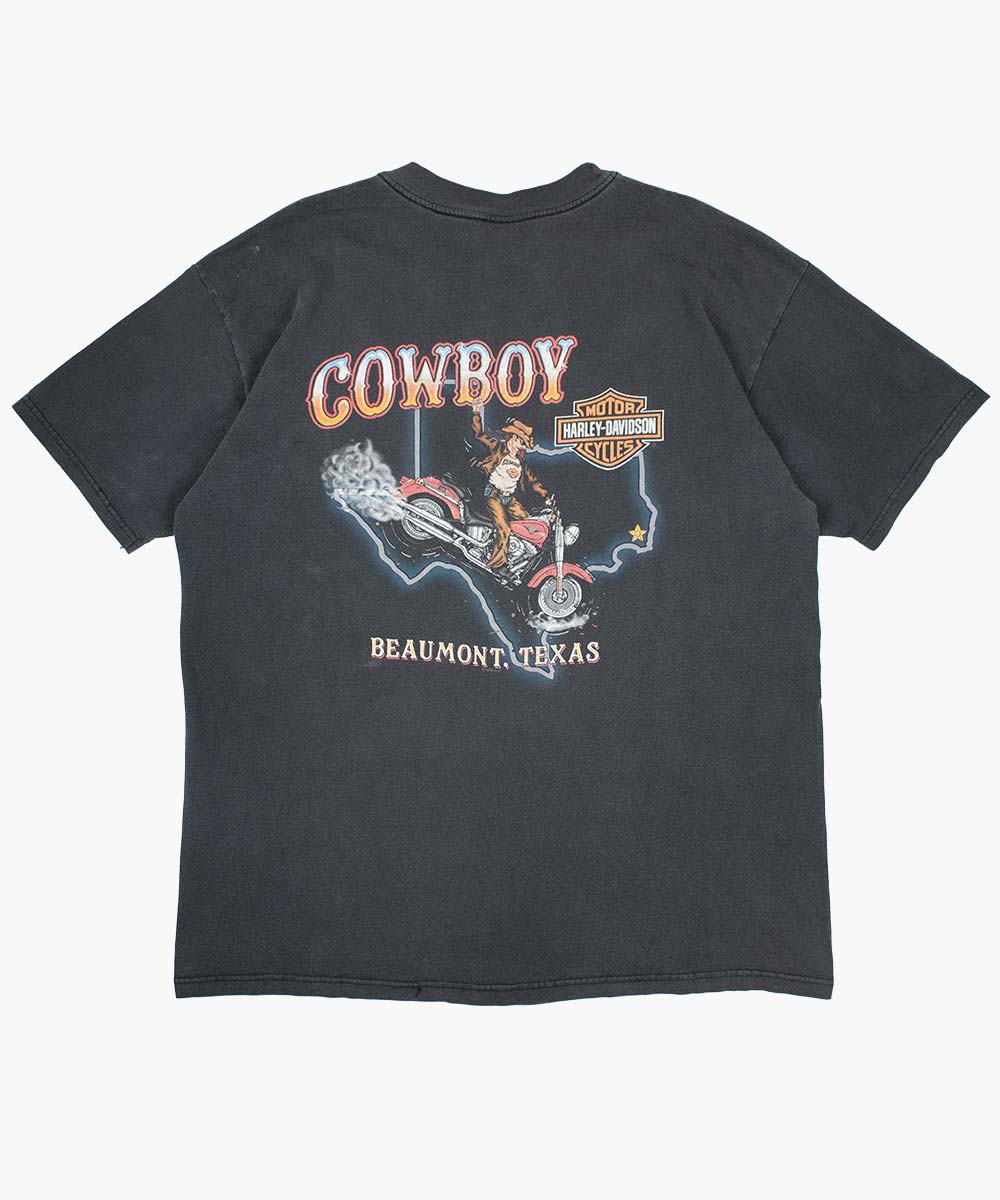 Camiseta HARLEY DAVIDSON 1999 (XL)