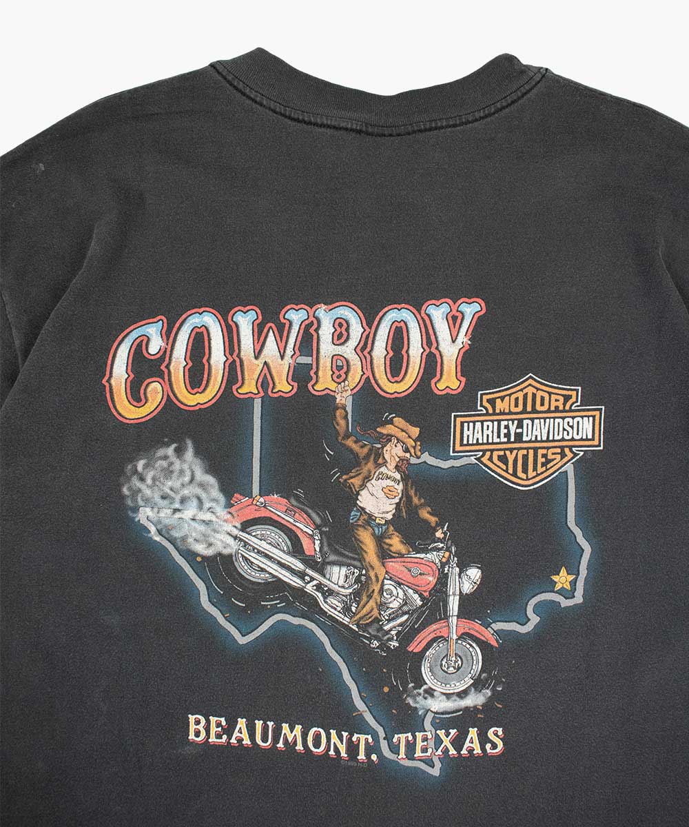 Camiseta HARLEY DAVIDSON 1999 (XL)
