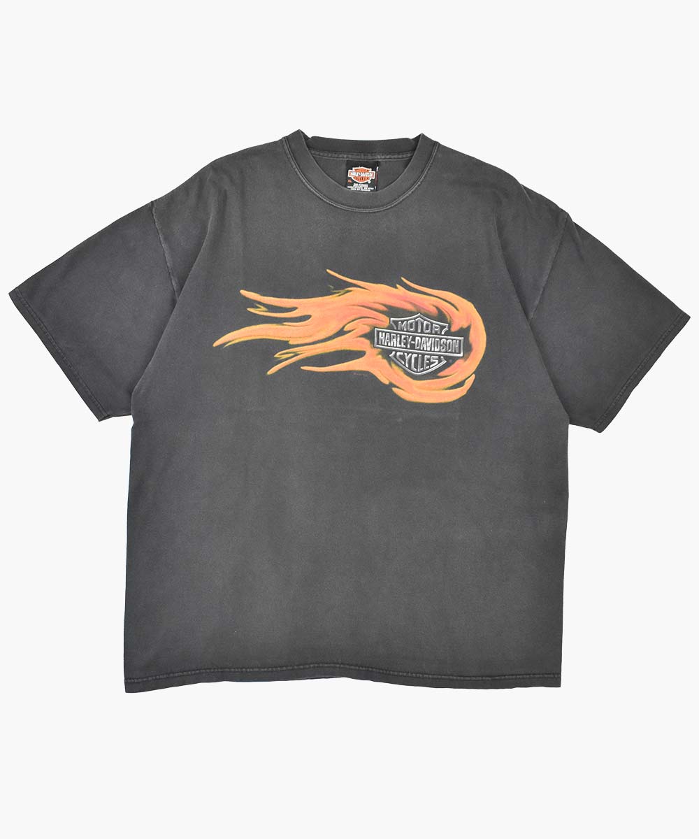 Camiseta HARLEY DAVIDSON 2001 (XL)