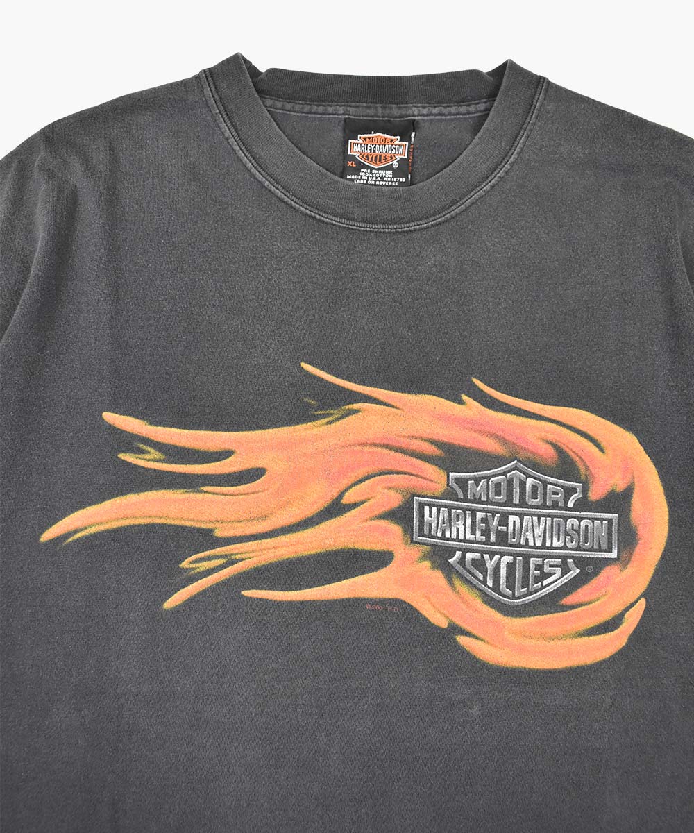 Camiseta HARLEY DAVIDSON 2001 (XL)