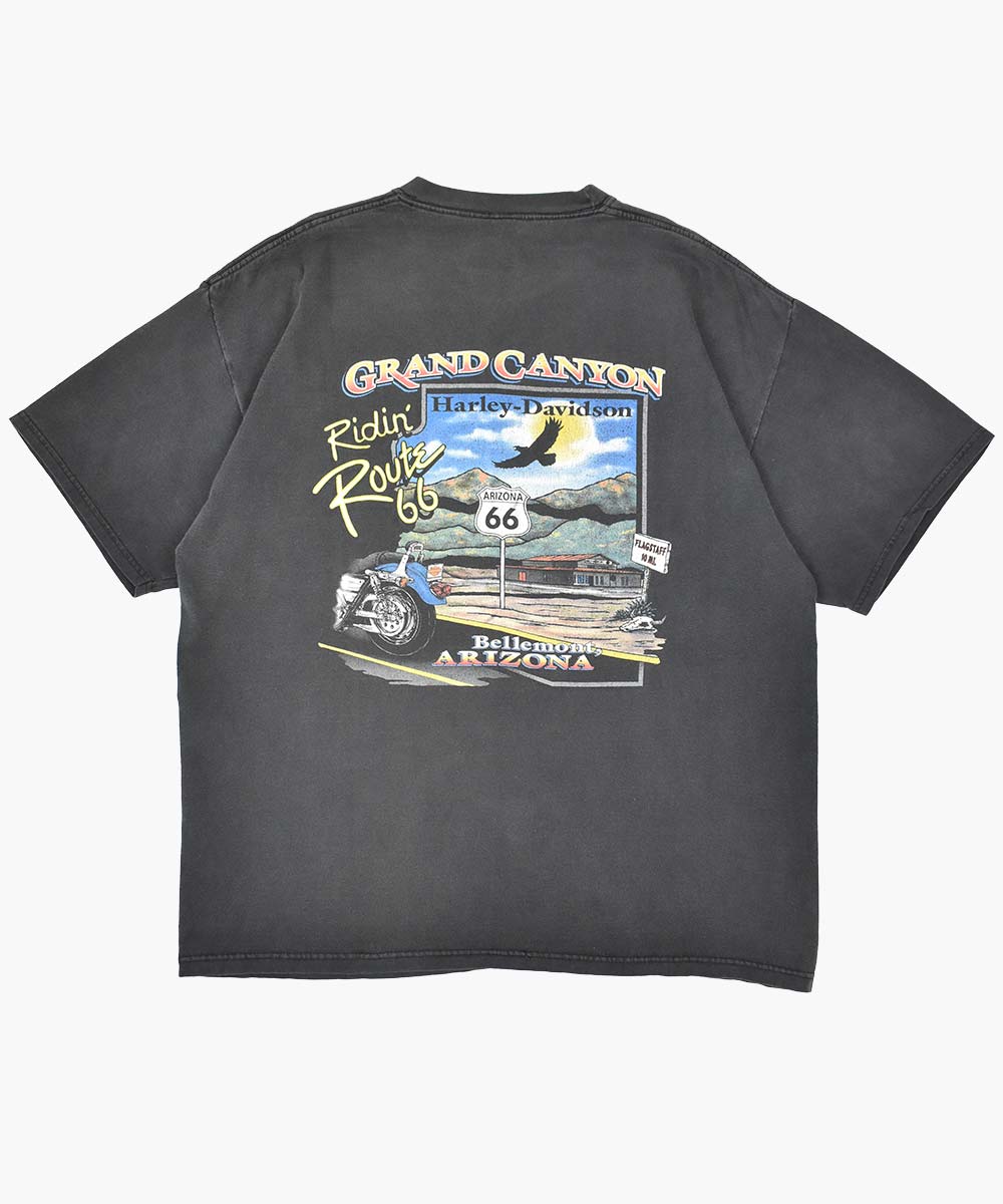 Camiseta HARLEY DAVIDSON 2001 (XL)