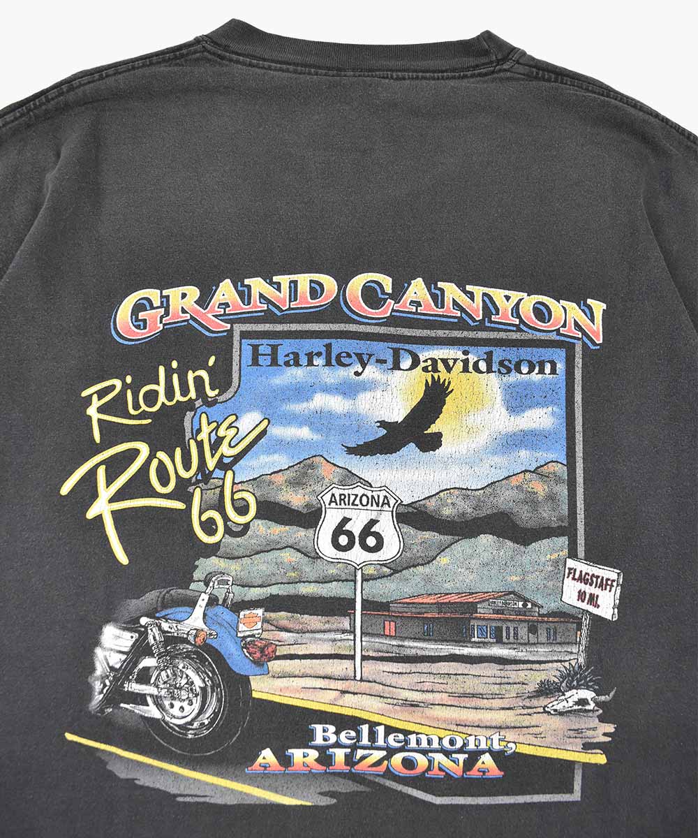 Camiseta HARLEY DAVIDSON 2001 (XL)