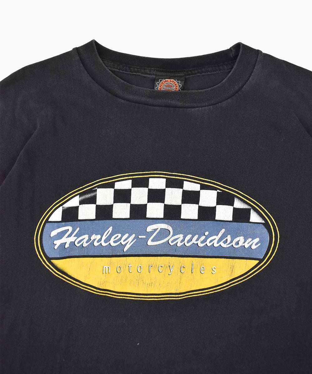 Camiseta HARLEY DAVIDSON 2000 (L)