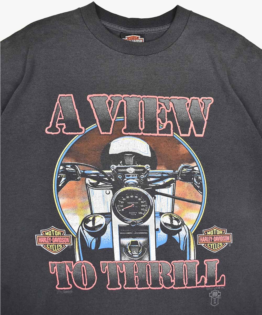 Camiseta HARLEY DAVIDSON 1990 (XL)