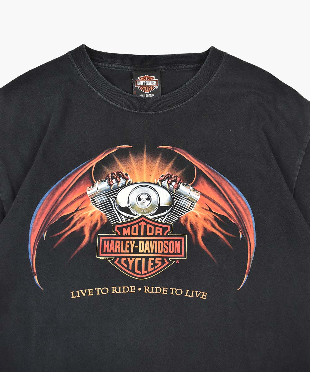 Camiseta HARLEY DAVIDSON 2005 (L)