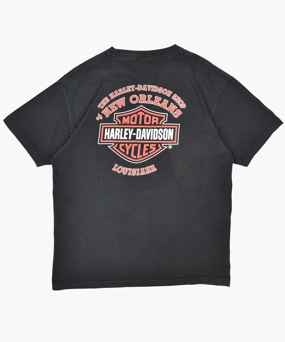 Camiseta HARLEY DAVIDSON 2005 (L)
