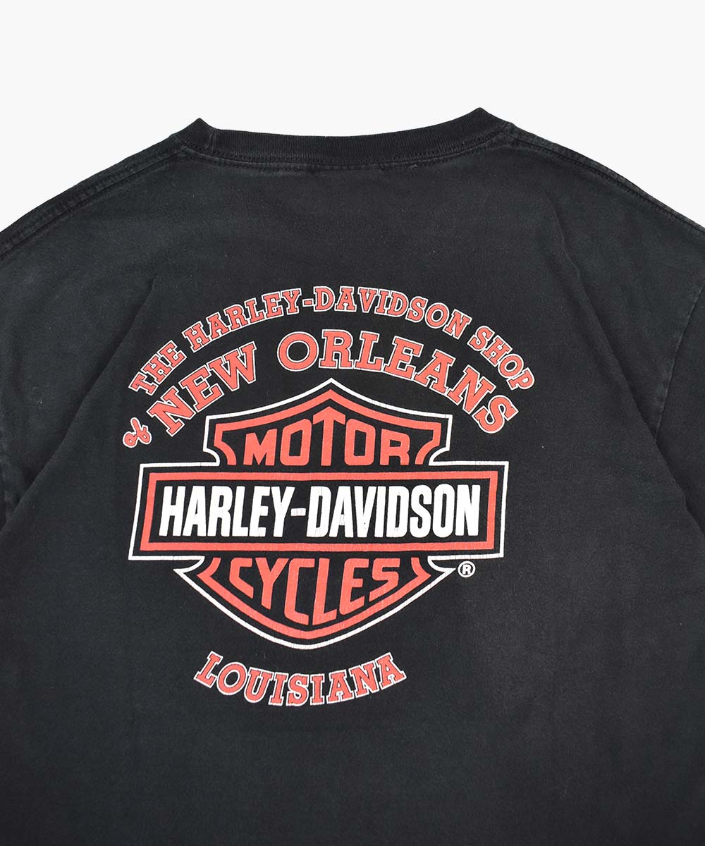 Camiseta HARLEY DAVIDSON 2005 (L)