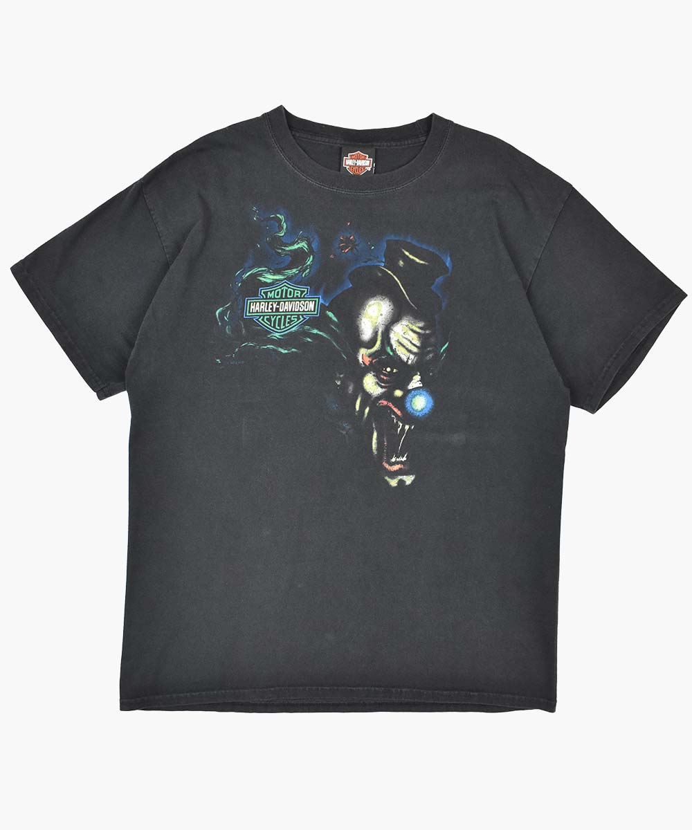 Camiseta HARLEY DAVIDSON 2010 (L)