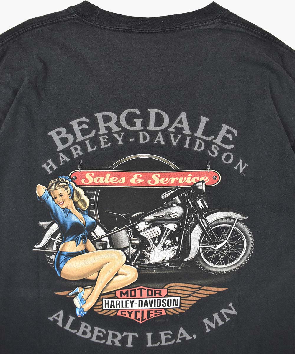 Camiseta HARLEY DAVIDSON 2010 (L)