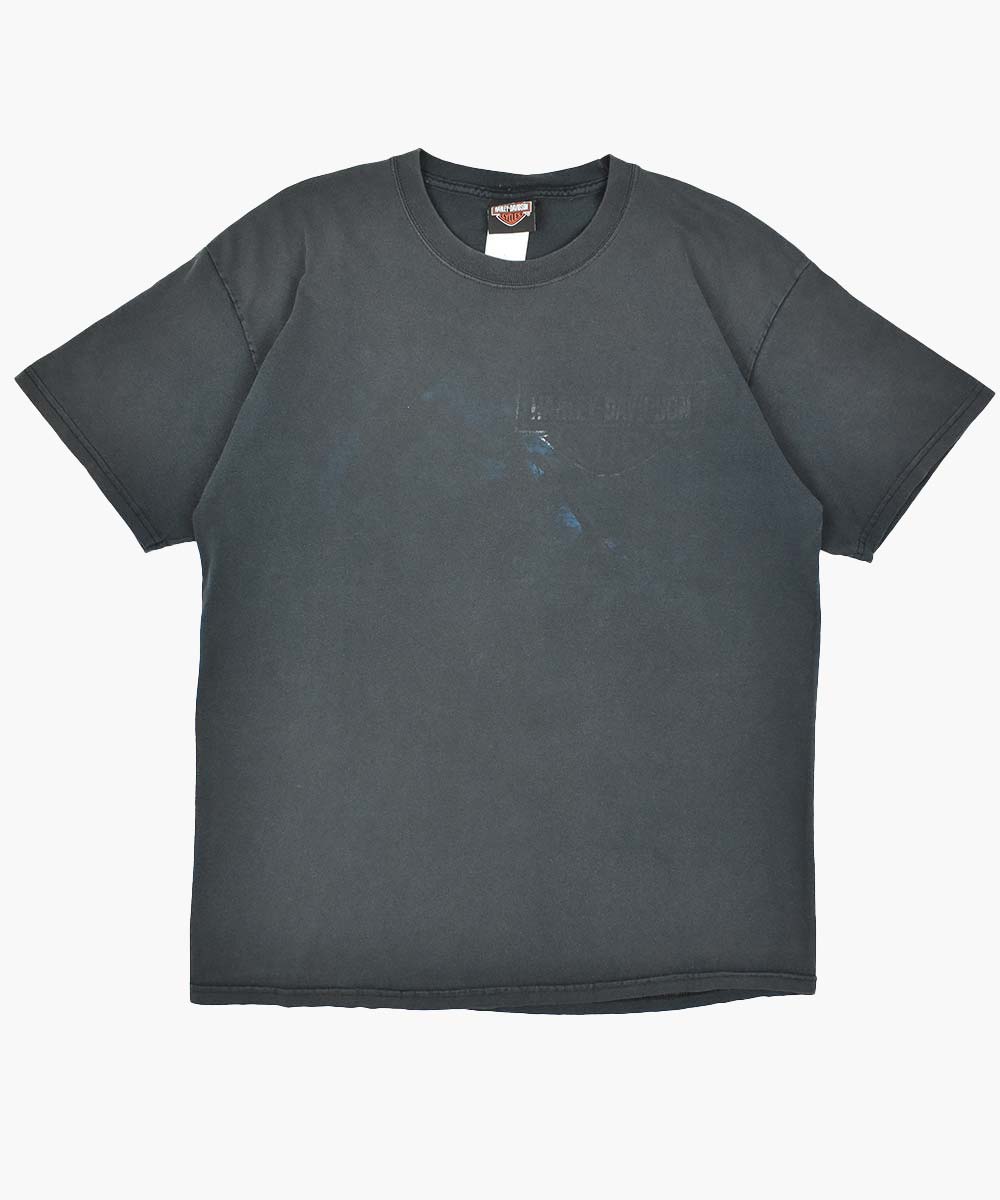 Camiseta HARLEY DAVIDSON 2000 (L)
