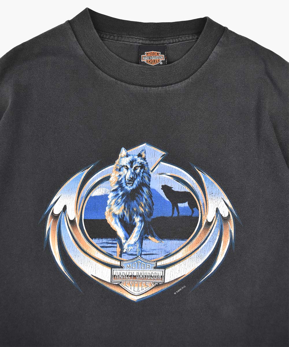 Camiseta HARLEY DAVIDSON 2000 (M)