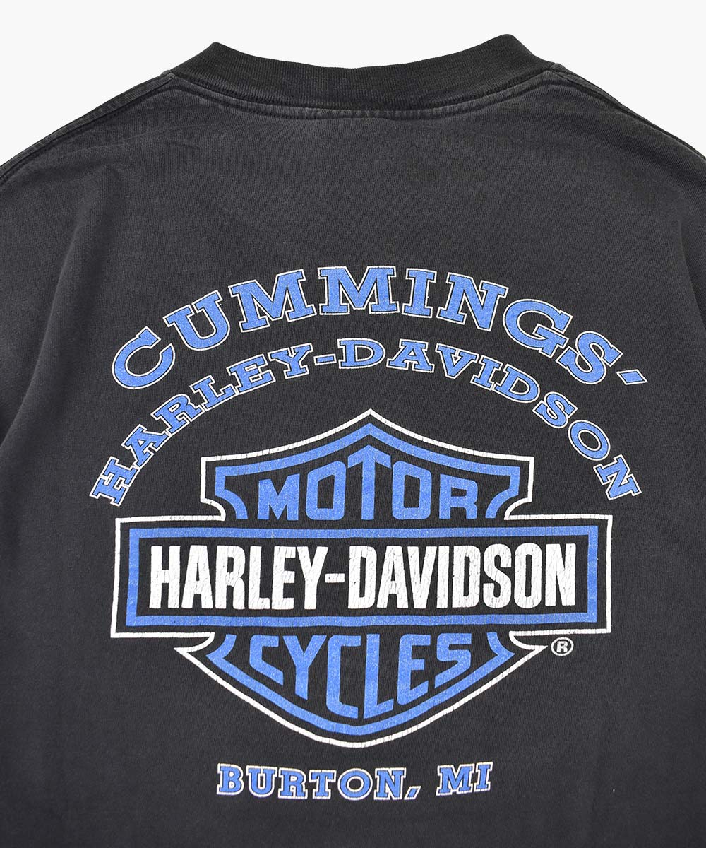 Camiseta HARLEY DAVIDSON 2000 (M)