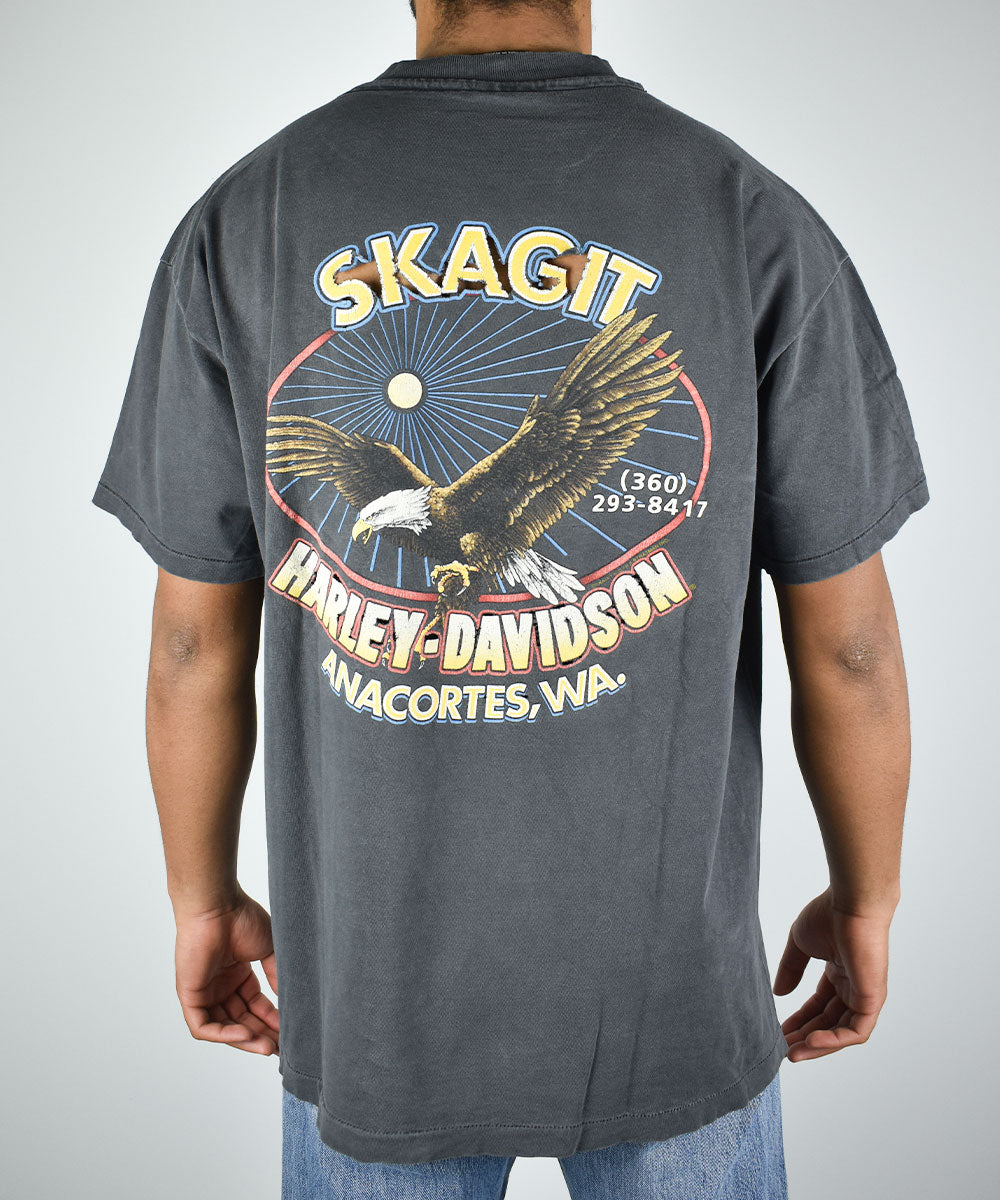 Camiseta Vintage HARLEY DAVIDSON (XL)