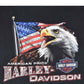 Camiseta Retro HARLEY DAVIDSON 2003 (XL)