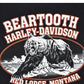Camiseta HARLEY DAVIDSON 2000 (L)